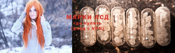 индика Алексин