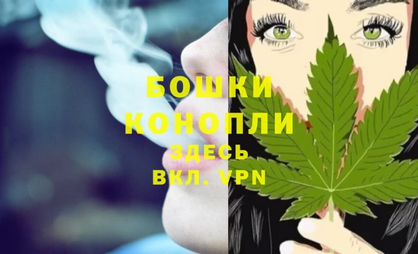 шишки Алзамай