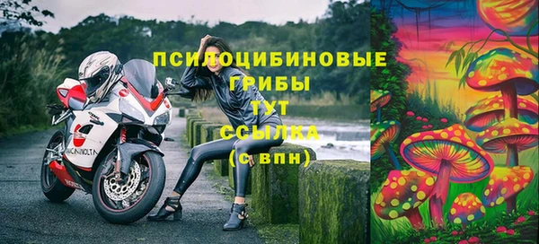 шишки Алзамай