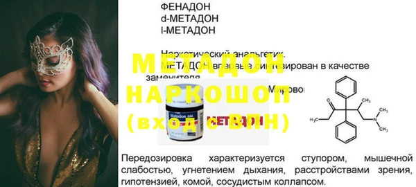 индика Алексин