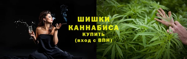 шишки Алзамай