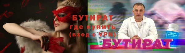 индика Алексин