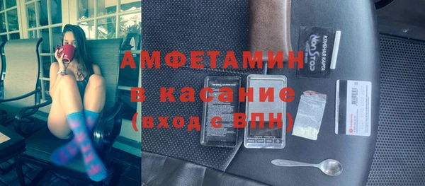 индика Алексин