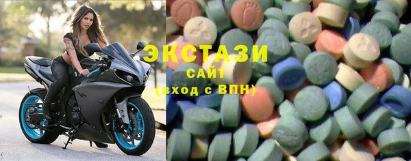 индика Алексин
