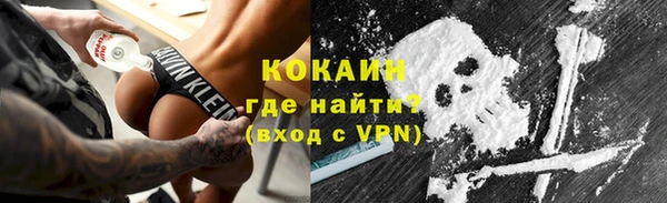индика Алексин
